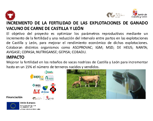 Incremento de la fertilidad de las explotaciones de ganado vacuno de carne de Castilla y León (REPROVAC)